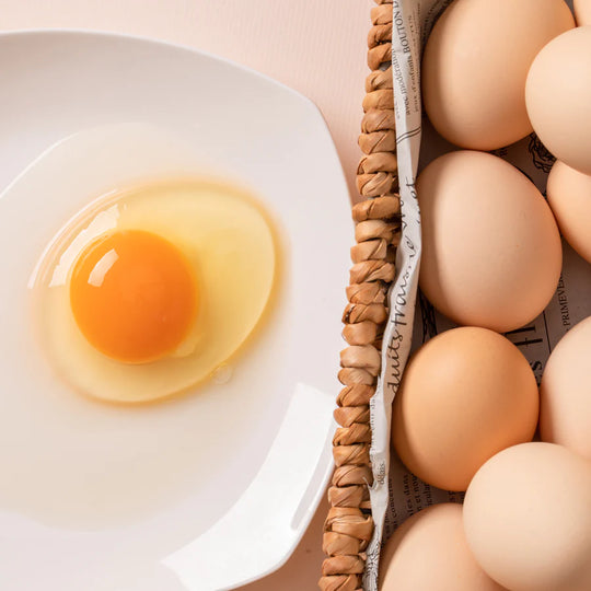 【名取鶏卵の源「くるたまご🥚」販売開始🐣】