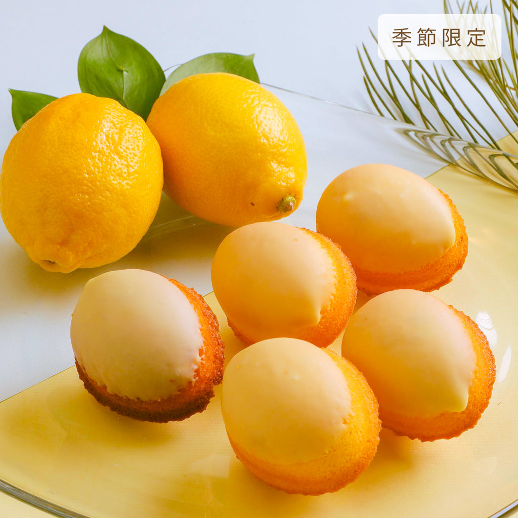 レモンのたまご – なとりさんちのたまごや工房